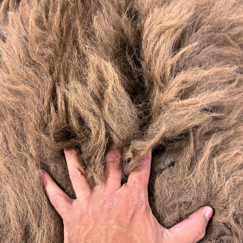 Bison Skin (huge, winter coat, beautiful and huge skin) Size: 8x7 feet LOT # 9