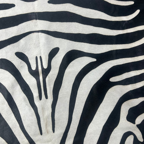 Reverse Zebra Cowhide Rug Size: 7x6 feet Z-310