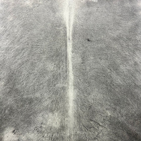 Natural Grey Cowhide Rug Size: 7x6 feet Z-313