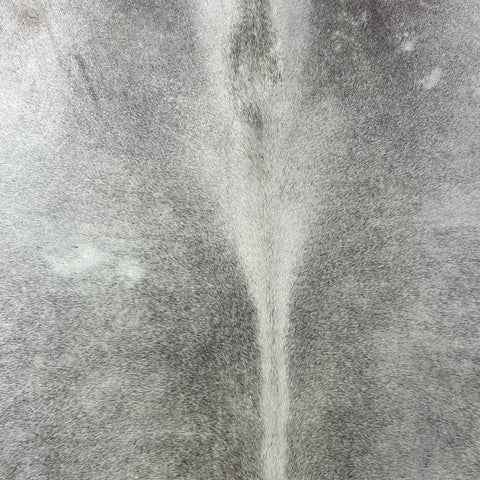 Natural Grey Cowhide Rug Size: 7x6 feet X-033