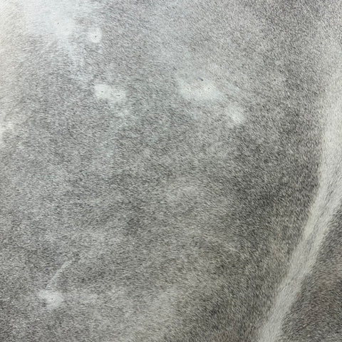 Natural Grey Cowhide Rug Size: 7x6 feet X-033