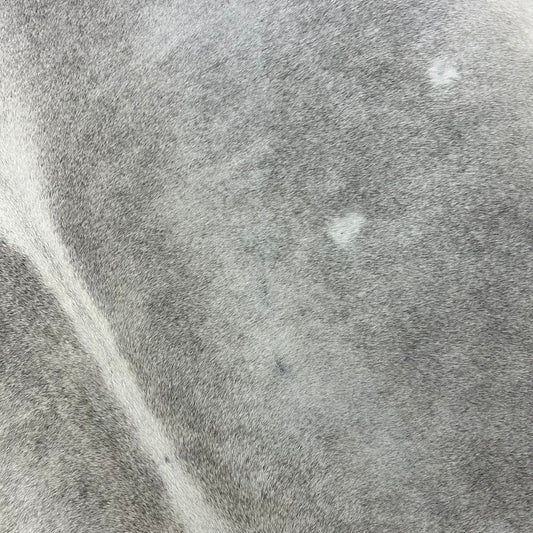 Natural Grey Cowhide Rug Size: 7x6 feet X-033