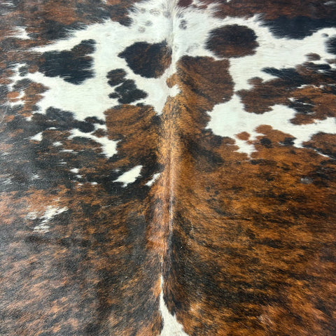Tricolor Cowhide Rug Size: 8x7 feet X-034