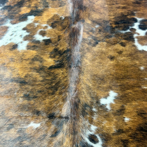 Tricolor Cowhide Rug Size: 8x7 feet X-035