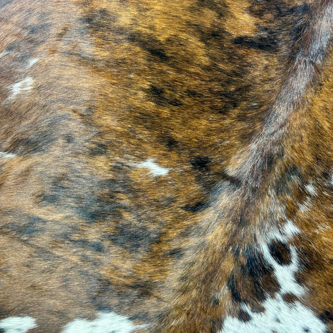 Tricolor Cowhide Rug Size: 8x7 feet X-035