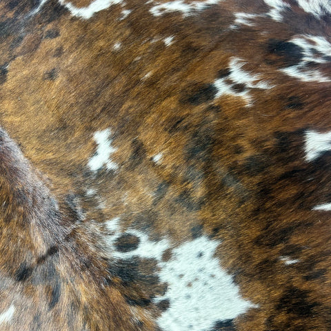 Tricolor Cowhide Rug Size: 8x7 feet X-035