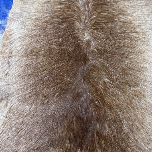 Waterbuck Skin Size: 51x45" D-955