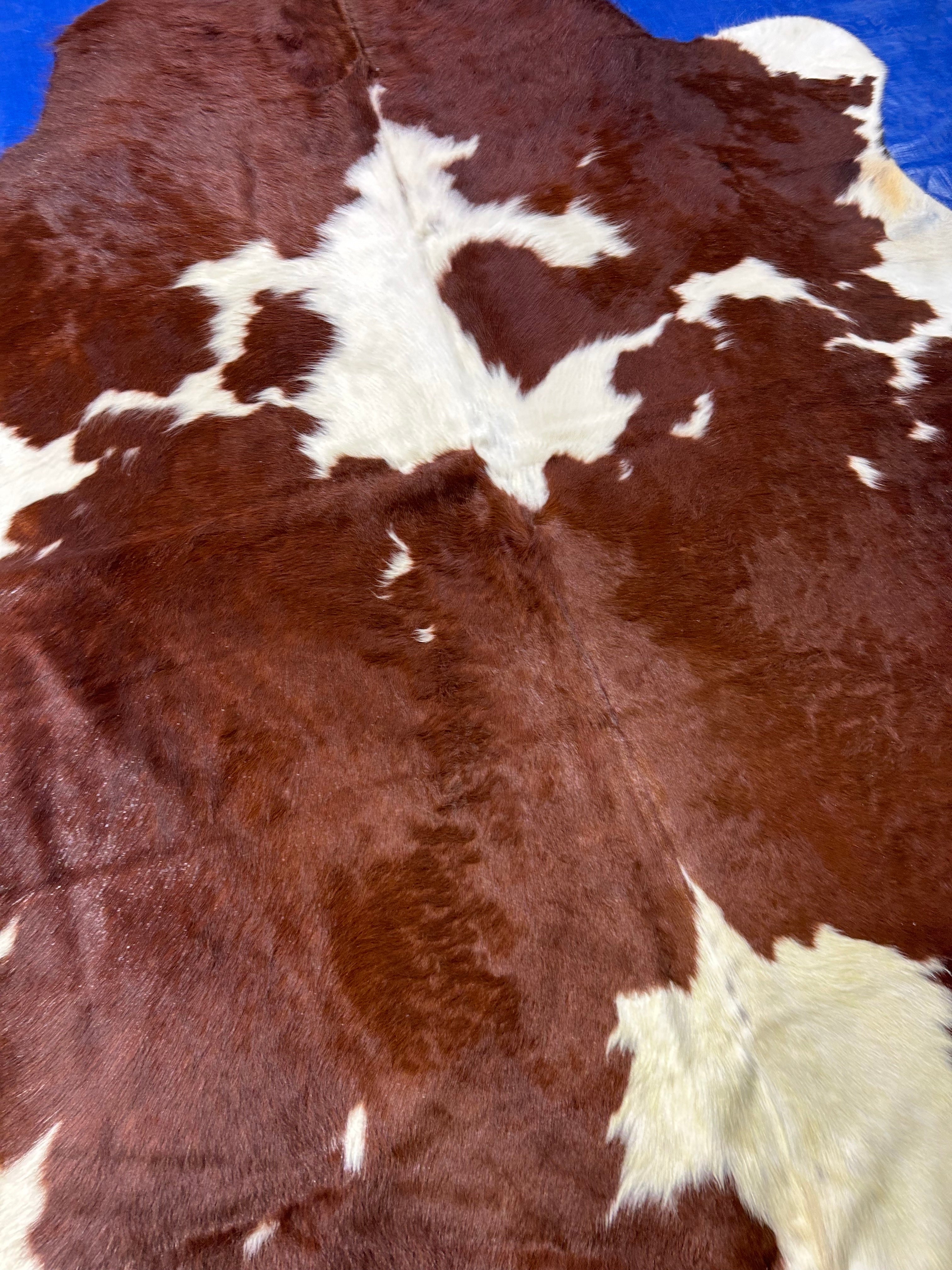 Brown & White Cowhide Rug Size: 6.2x5.7 feet M-1634