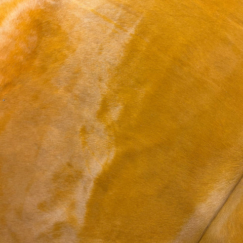 Dyed Orange Cowhide Rug Size: 7x7 feet Y-154