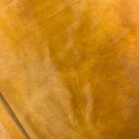 Dyed Orange Cowhide Rug Size: 7x7 feet Y-154