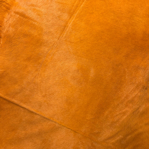Dyed Orange Cowhide Rug Size: 8x7.2 feet Y-155