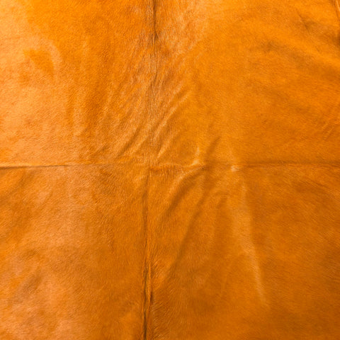 Dyed Orange Cowhide Rug Size: 8x7.2 feet Y-155