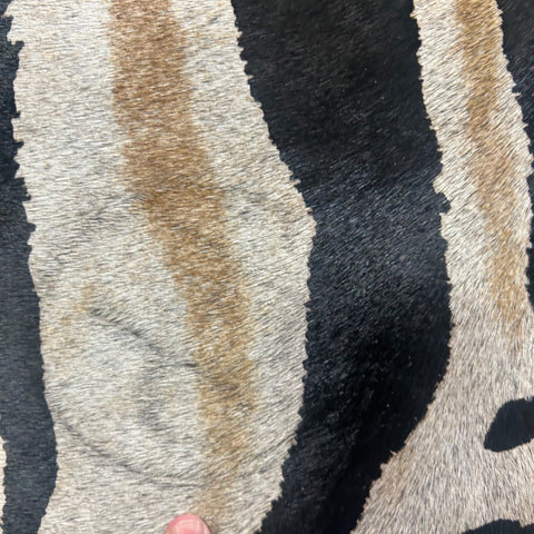 Genuine Zebra Cowhide Rug (dark inner lines) Size: 6.5x6 feet Z-314