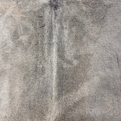 Natural Grey Cowhide Rug (some natural scratches/ beige belly) Size: 8x7 feet D-512