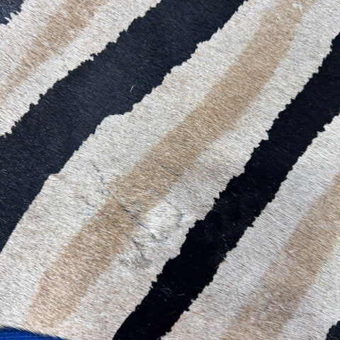 Genuine Zebra Cowhide Rug Size: 6.5x6 feet Z-144