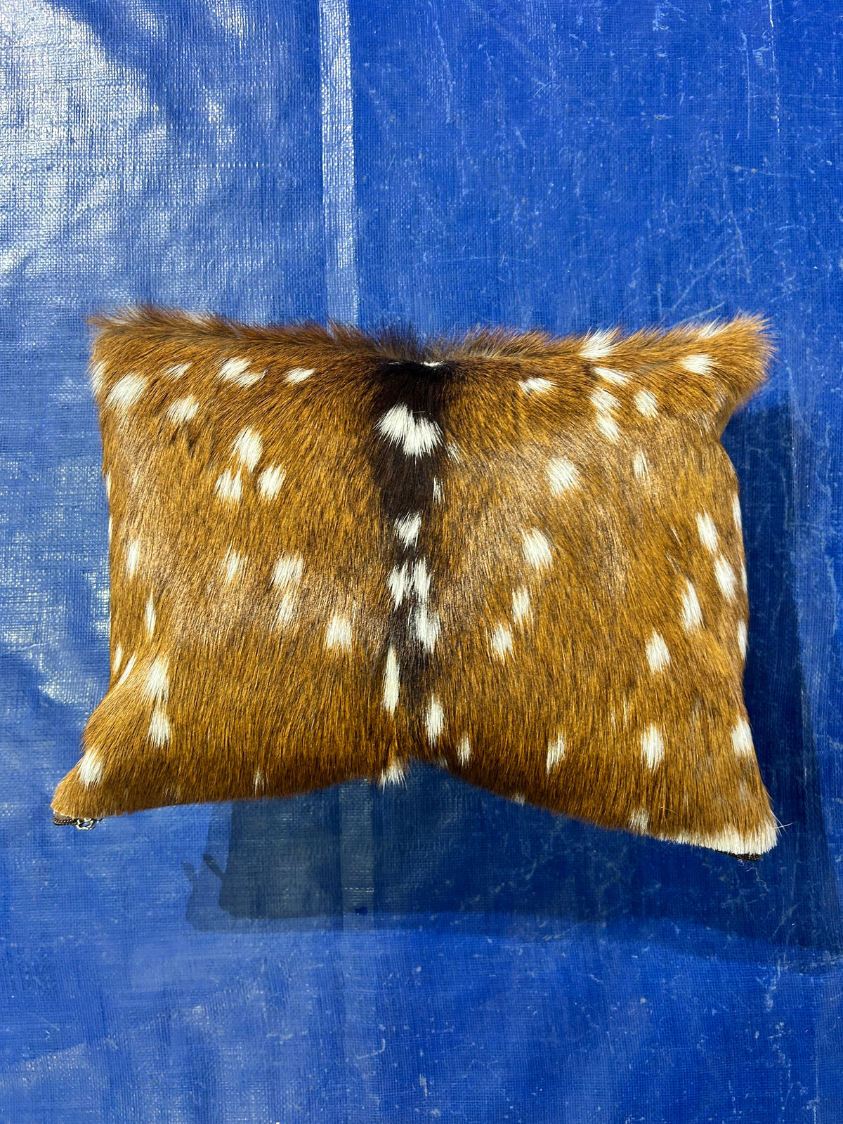 Flled Axis Deer Pillow Size: 12X16"