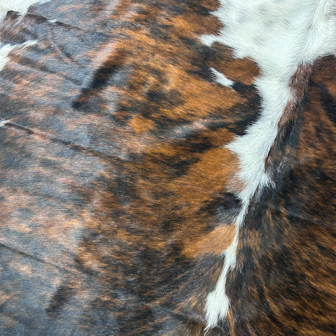 Tricolor Cowhide Rug (40.75 sq ft) Size: 7.2x7 feet Colombia-261