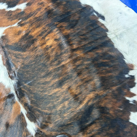 Tricolor Cowhide Rug (40.75 sq ft) Size: 7.2x7 feet Colombia-261