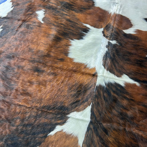 Tricolor Cowhide Rug (42.75 sq ft) Size: 8x7 feet Colombia-270