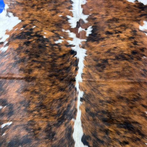 Tricolor Cowhide Rug (37.25 sq ft) Size: 7.2x6.5 feet Colombia-271