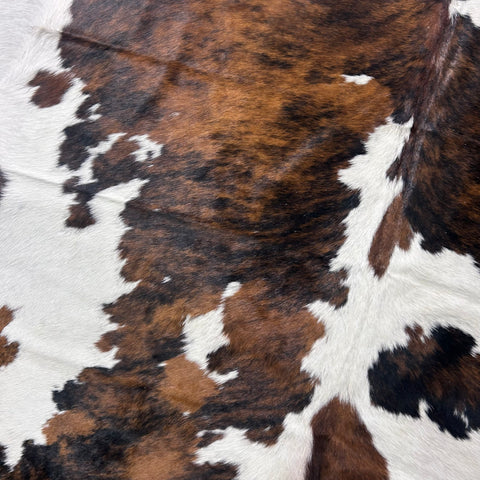 Tricolor Cowhide Rug (40.50 sq ft) Size: 7.5x7 feet Colombia-191