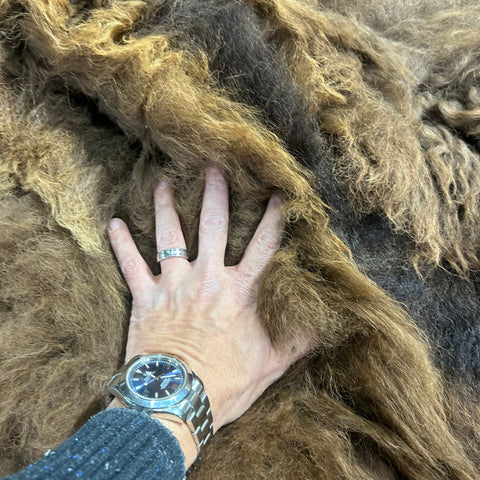 Bison Skin (small tail/lush fur) Size: 8x7 feet Bison # 20
