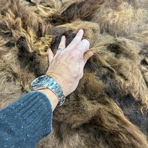 Beautiful Bison Skin (nice tail/lush fur) Size: 8x7 feet Bison # 19