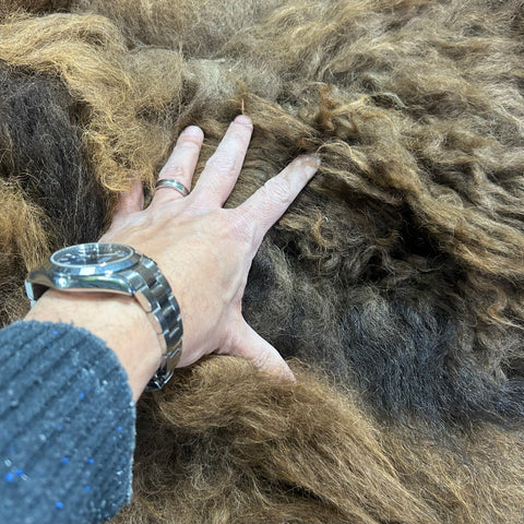 Bison Skin (small tail/lush fur) Size: 8x7 feet Bison # 20