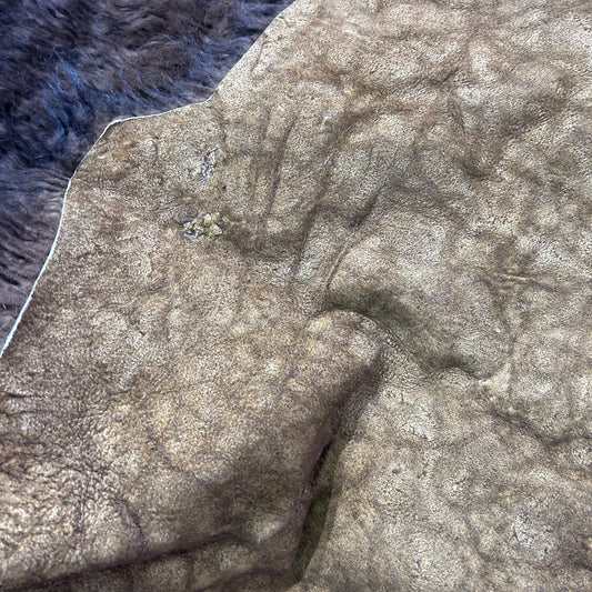 Beautiful Bison Skin (nice tail/lush fur) Size: 8x7 feet Bison # 19