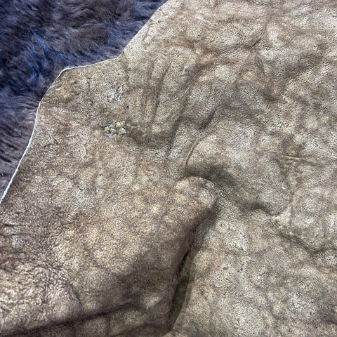Beautiful Bison Skin (nice tail/lush fur) Size: 8x7 feet Bison # 19