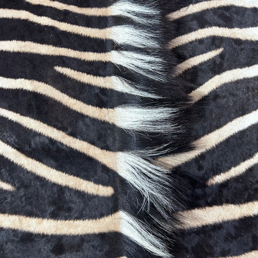 Real Zebra Skin Rug Hide # 39 Size: 8 X 7 feet Genuine Burchells Zebra Hide