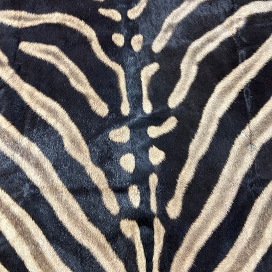 Real Zebra Skin Rug Hide # 41 Size: 8.5 X 7 feet Genuine Burchells Zebra Hide