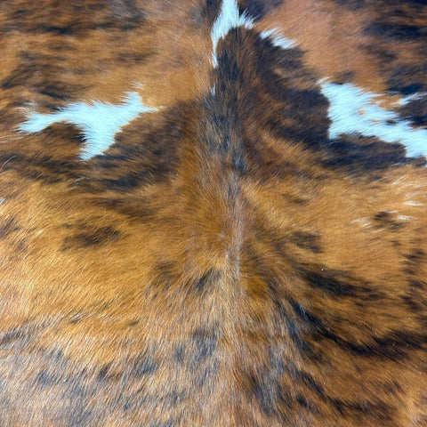 Tricolor Cowhide Rug Size: 8x7 feet D-524