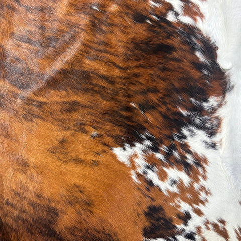 Tricolor Cowhide Rug Size: 8x7 feet D-524