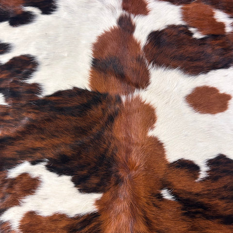 Tricolor Cowhide Rug Size: 7.2x7 feet D-525