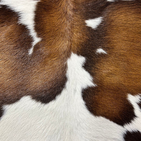 Tricolor Calf Skin Size: 34x30" Z-320