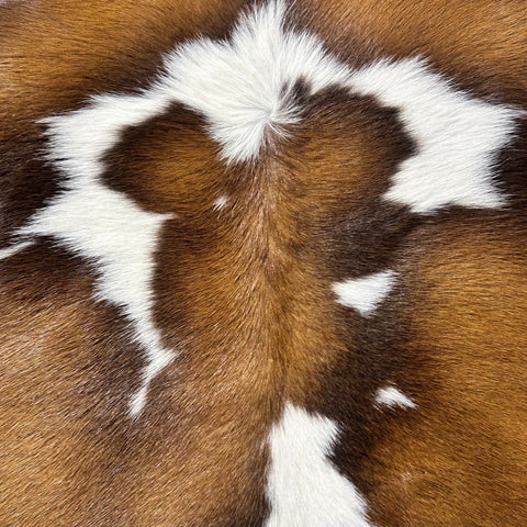 Tricolor Calf Skin Size: 34x30" Z-320