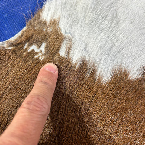 Brown and White Calf Skin Size: 44x45" Z-323
