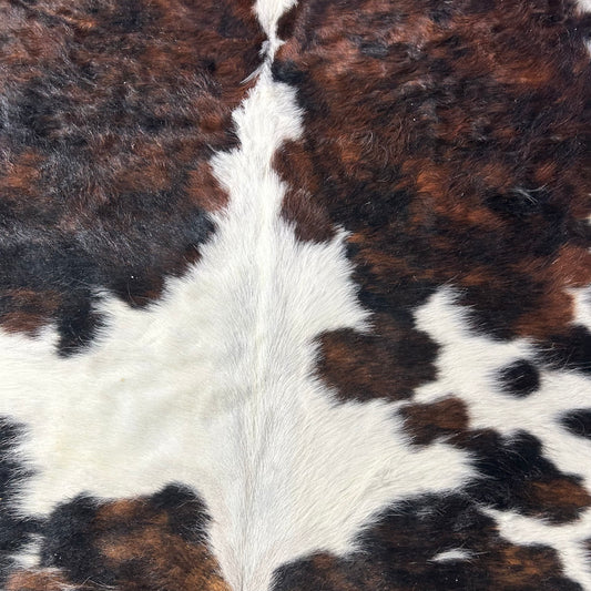 Huge Tricolor Cowhide Rug Size: 8x7 feet X-038