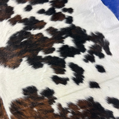 Huge Tricolor Cowhide Rug Size: 8x7 feet X-038
