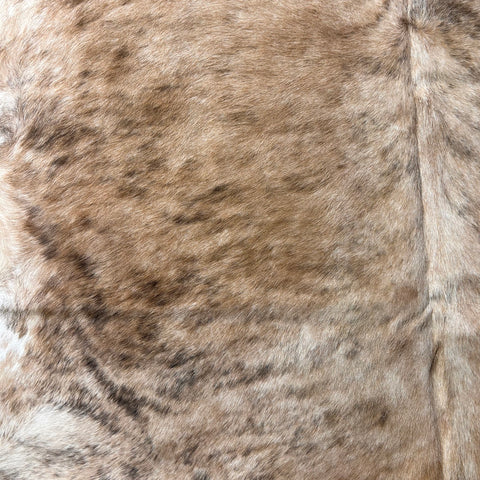 Medium Brindle Cowhide Rug with White Belly Size: 7.2x7 feet D-531