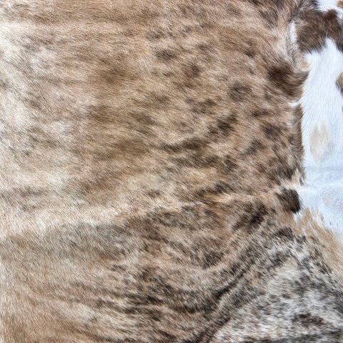 Medium Brindle Cowhide Rug with White Belly Size: 7.2x7 feet D-531