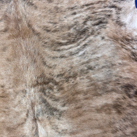 Medium Brindle Cowhide Rug with White Belly Size: 7.2x7 feet D-531