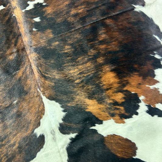 Tricolor Cowhide Rug Size: 7x7 feet X-041