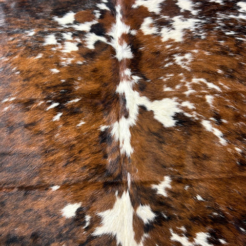 Tricolor Cowhide Rug Size: 7x6 feet X-043