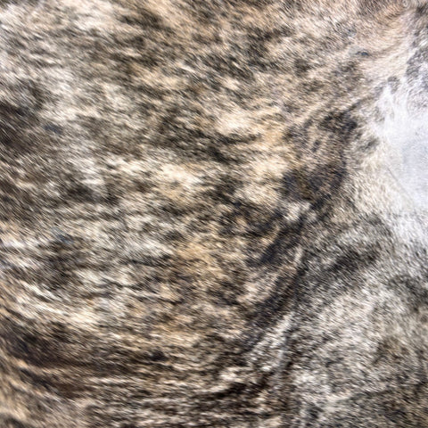 Medium Brindle Cowhide Rug Size: 8x7 feet D-534