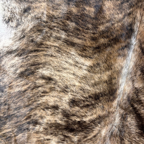 Medium Brindle Cowhide Rug Size: 8x7 feet D-534