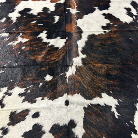 Tricolor Cowhide Rug Size: 7.2x6.2 feet X-046