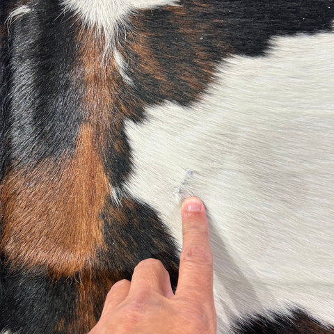 Tricolor Cowhide Rug Size: 7.2x6.2 feet X-046