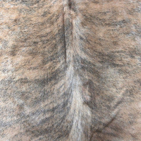 Light Brindle Cowhide Rug Size: 7.2x7.2 feet D-536